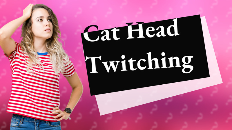 Cat Head Twitching