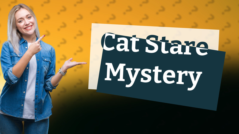 Cat Stare Mystery