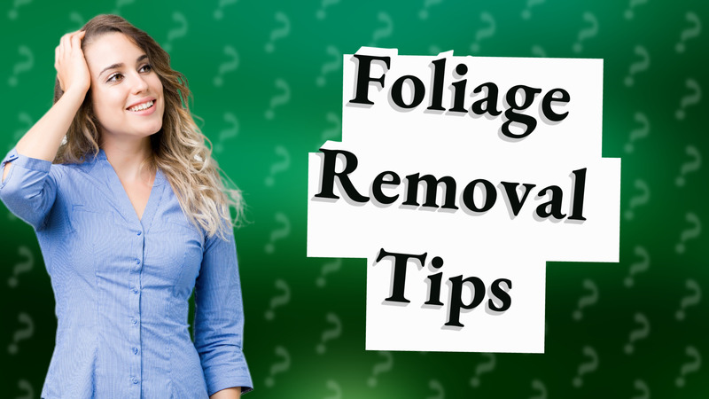 Foliage Removal Tips