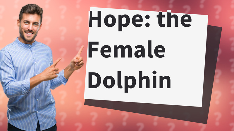 Hope: the Female Dolphin
