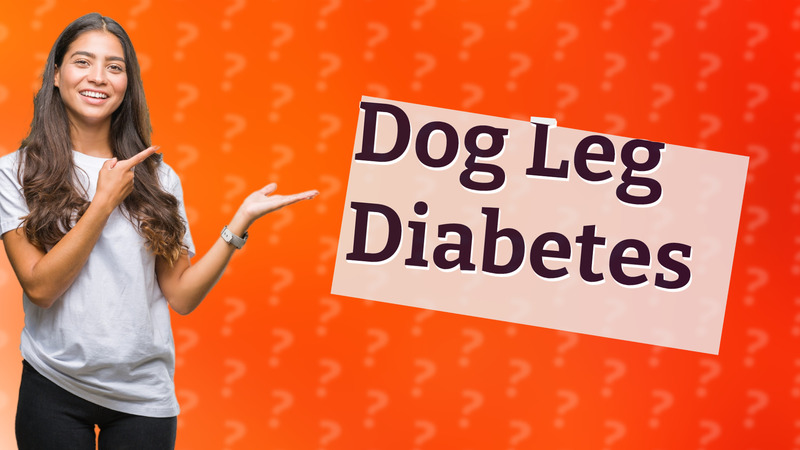 Dog Leg Diabetes