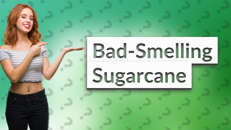 Bad-Smelling Sugarcane