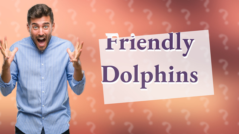 Friendly Dolphins
