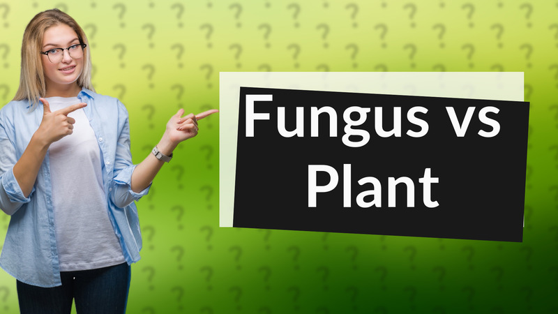 Fungus vs Plant