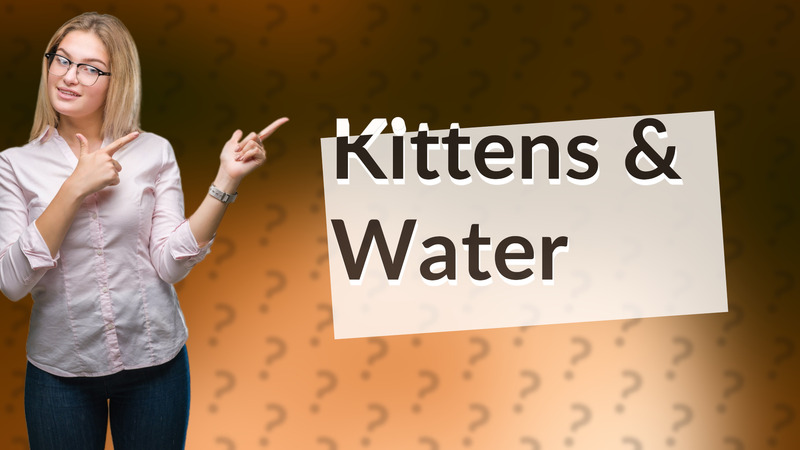Kittens & Water