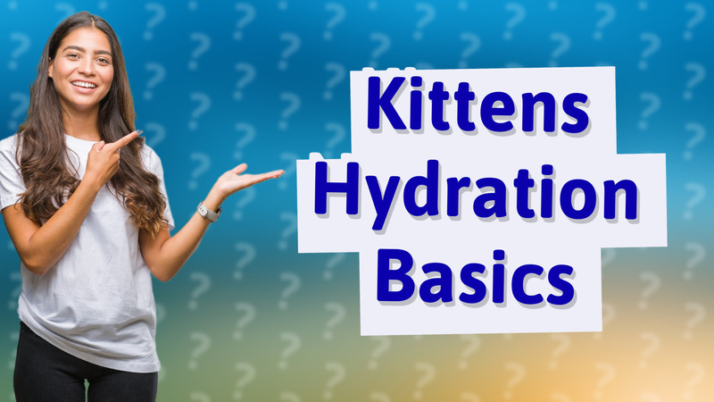 Kittens Hydration Basics