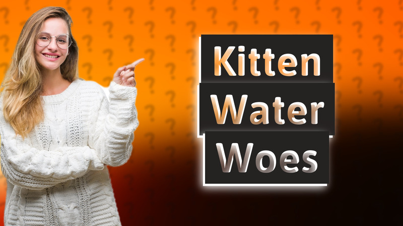 Kitten Water Woes