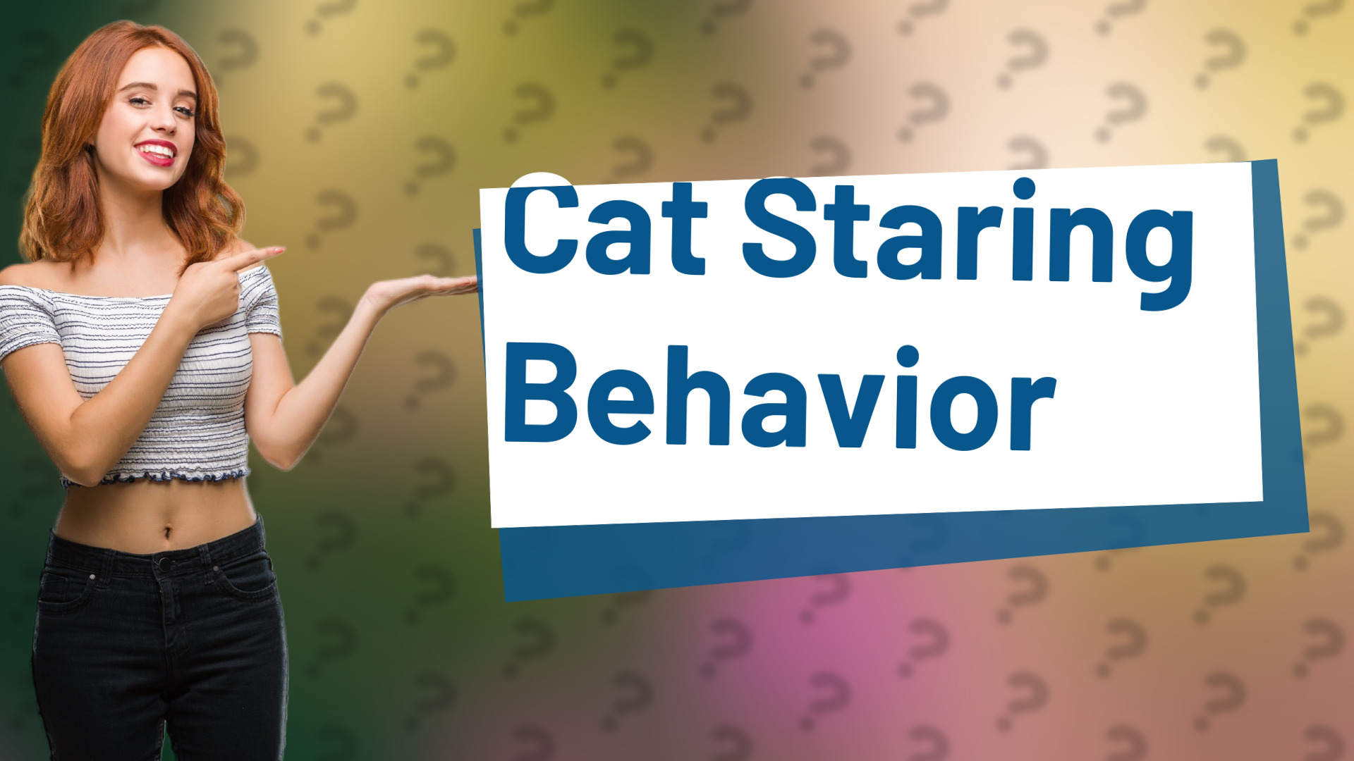 Cat Staring Behavior