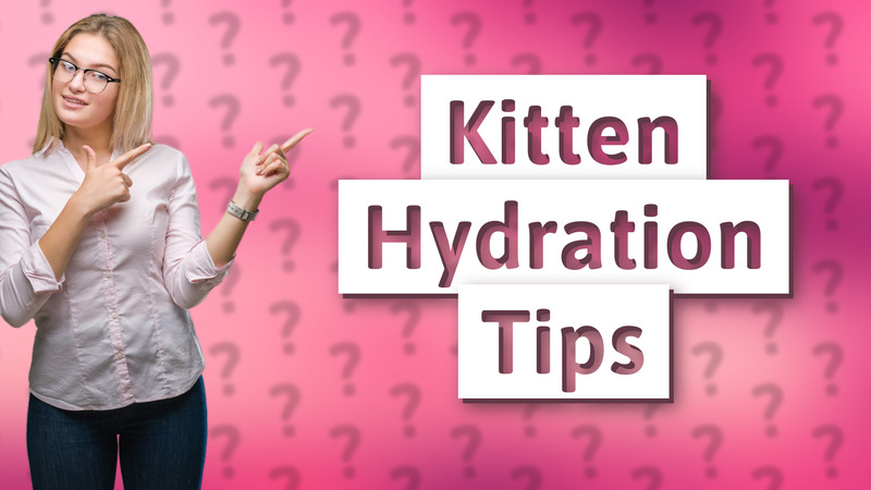 Kitten Hydration Tips