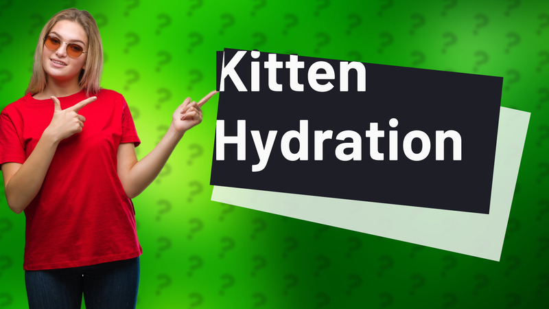 Kitten Hydration