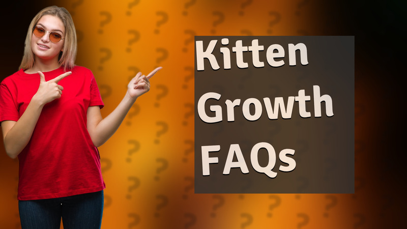 Kitten Growth FAQs