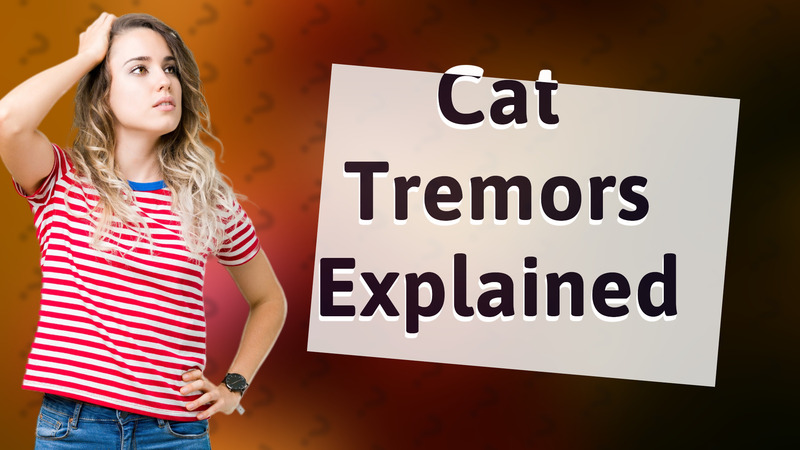 Cat Tremors Explained