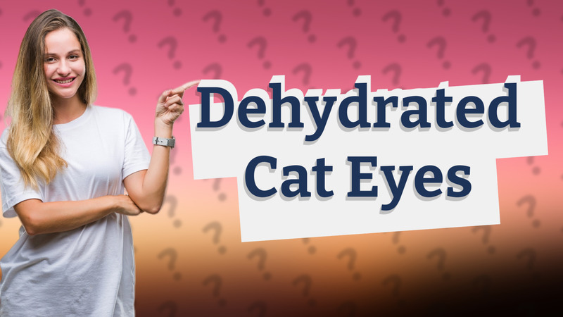 Dehydrated Cat Eyes