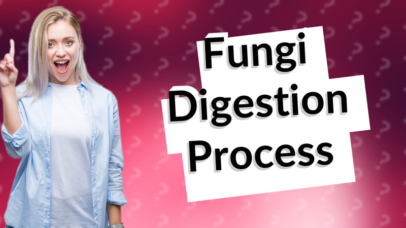 Fungi Digestion Process