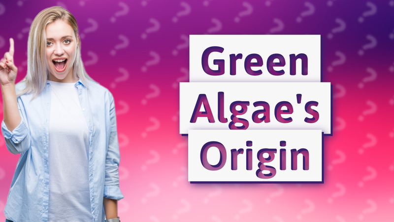 Green Algae's Origin