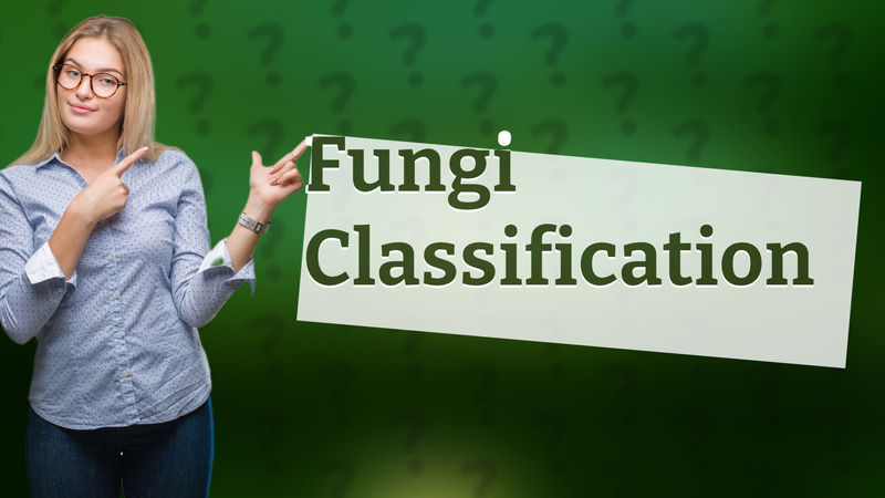 Fungi Classification