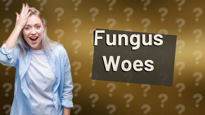 Fungus Woes
