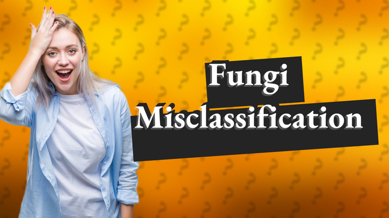 Fungi Misclassification