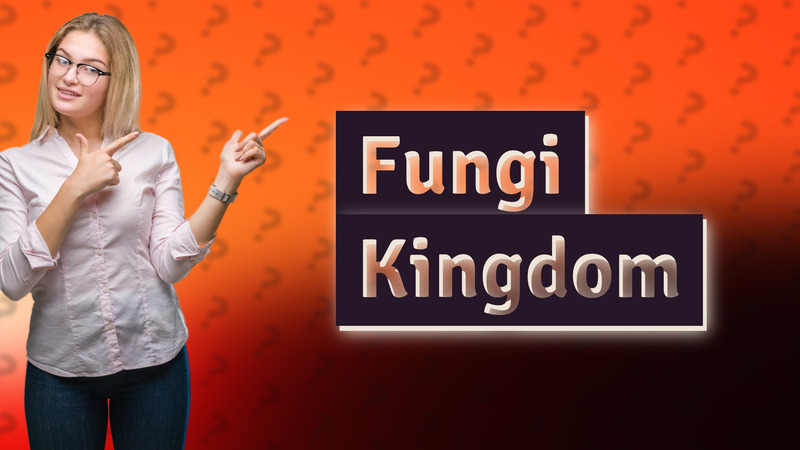 Fungi Kingdom