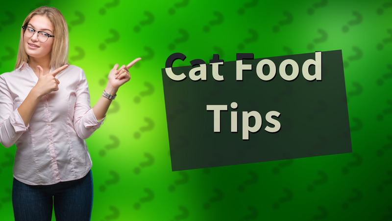 Cat Food Tips