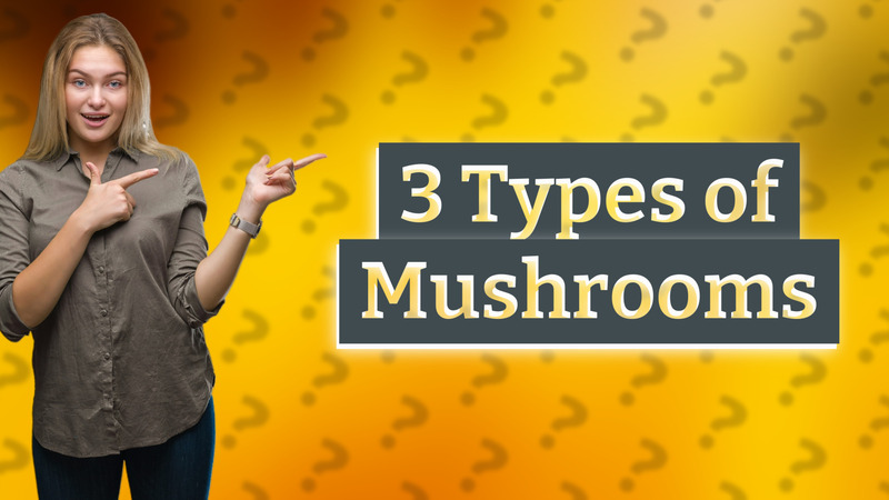 3 Types of Mushrooms