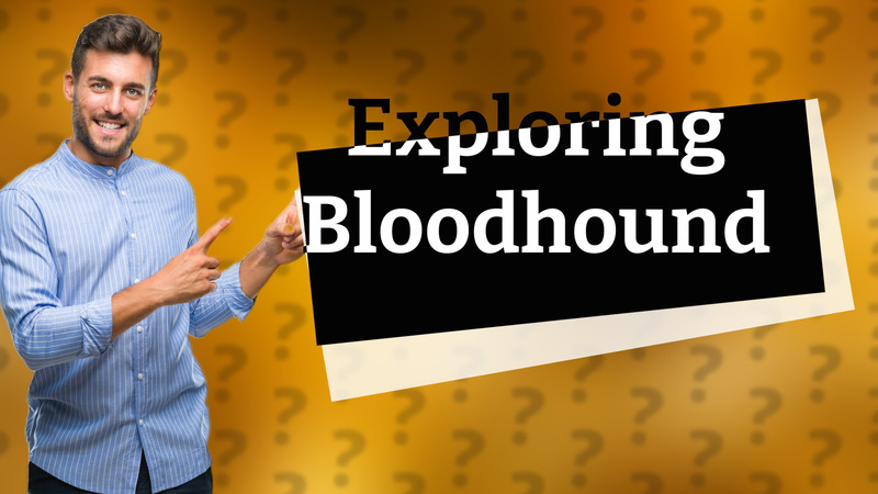 Exploring Bloodhound