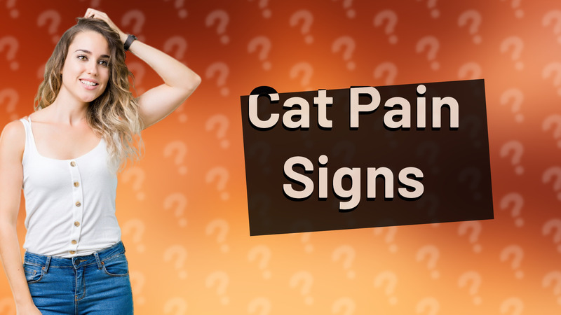 Cat Pain Signs