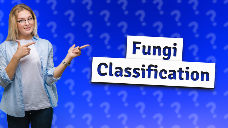 Fungi Classification