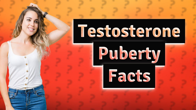 Testosterone Puberty Facts
