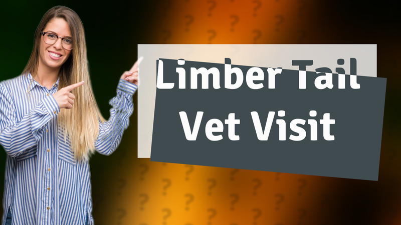 Limber Tail Vet Visit