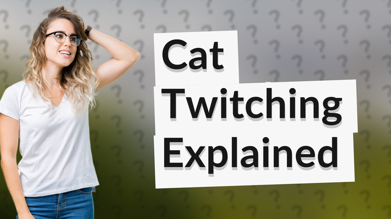 Cat Twitching Explained