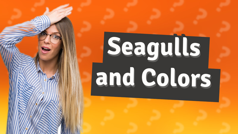 Seagulls and Colors