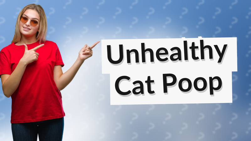 Unhealthy Cat Poop
