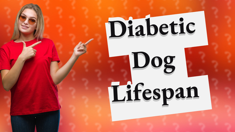 Diabetic Dog Lifespan