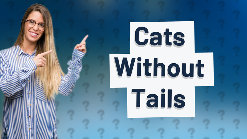 Cats Without Tails