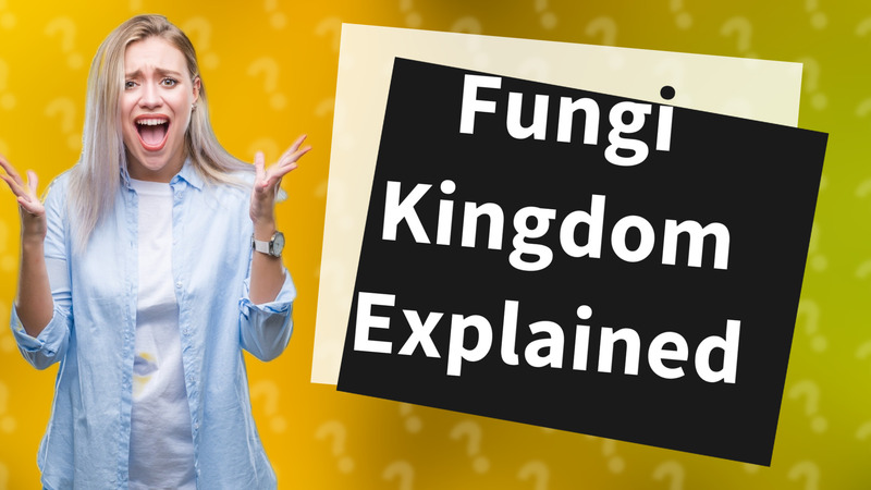 Fungi Kingdom Explained