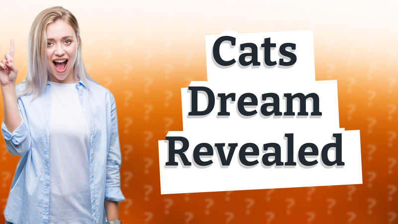 Cats Dream Revealed