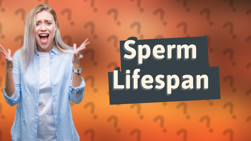 Sperm Lifespan