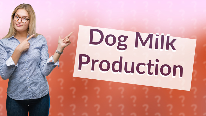 Dog Milk Production