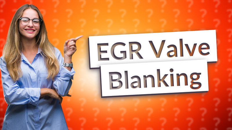 EGR Valve Blanking