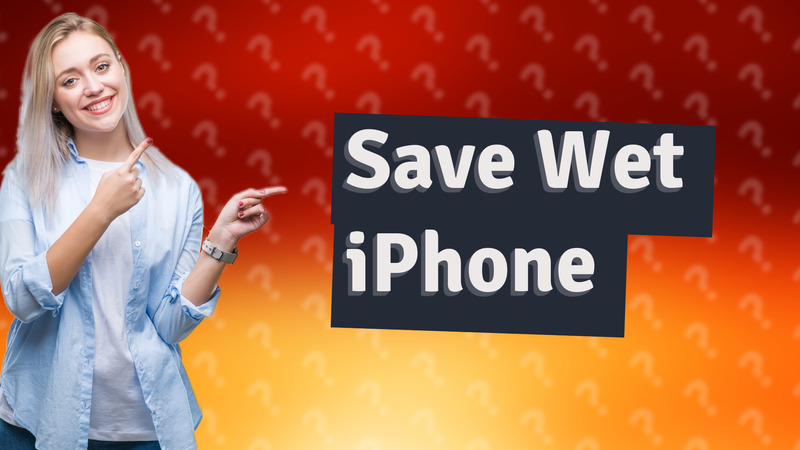 Save Wet iPhone