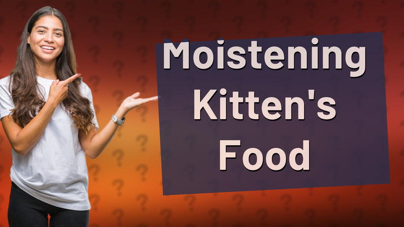 Moistening Kitten's Food