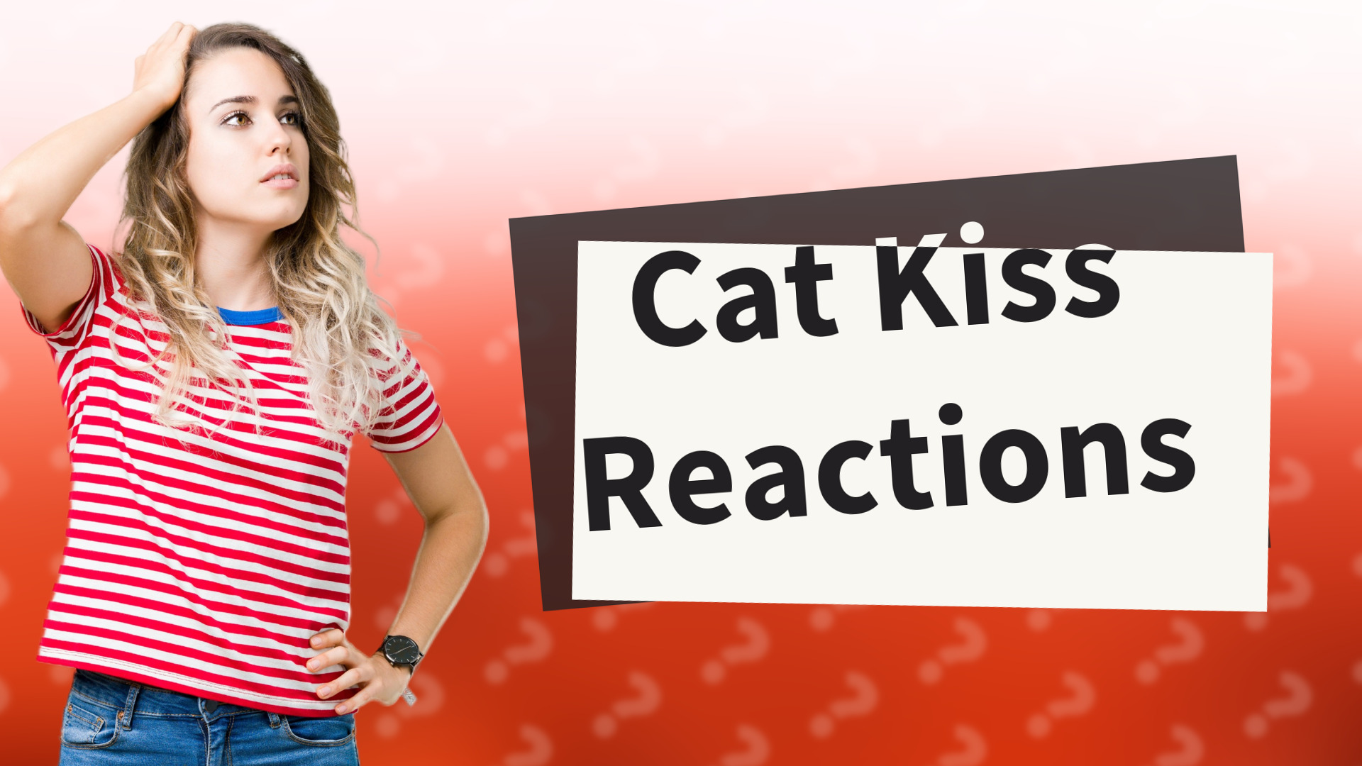 Cat Kiss Reactions