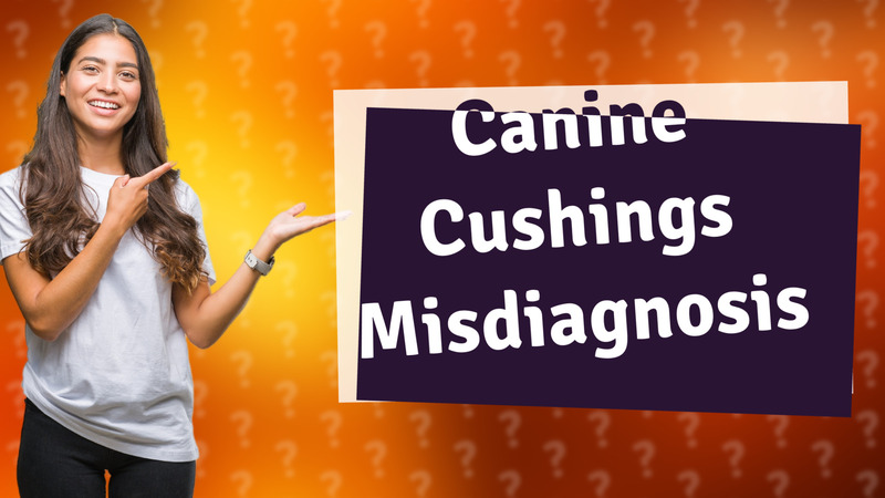 Canine Cushings Misdiagnosis