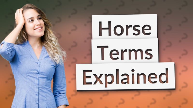 Horse Terms Explained