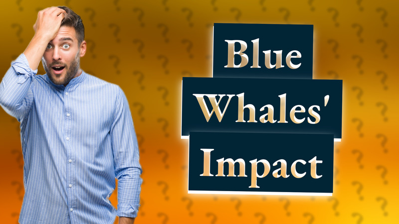 Blue Whales' Impact