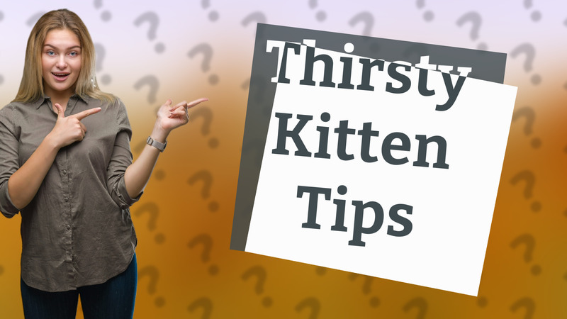 Thirsty Kitten Tips