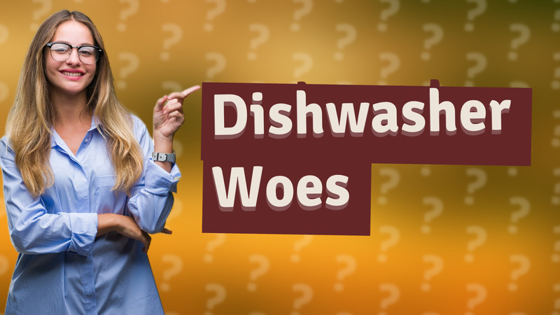 Dishwasher Woes