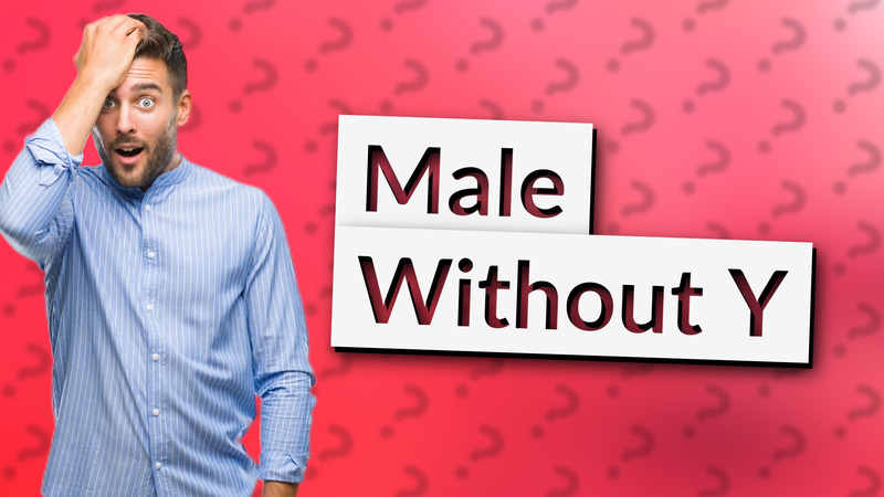 Male Without Y