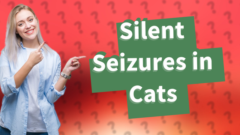 Silent Seizures in Cats